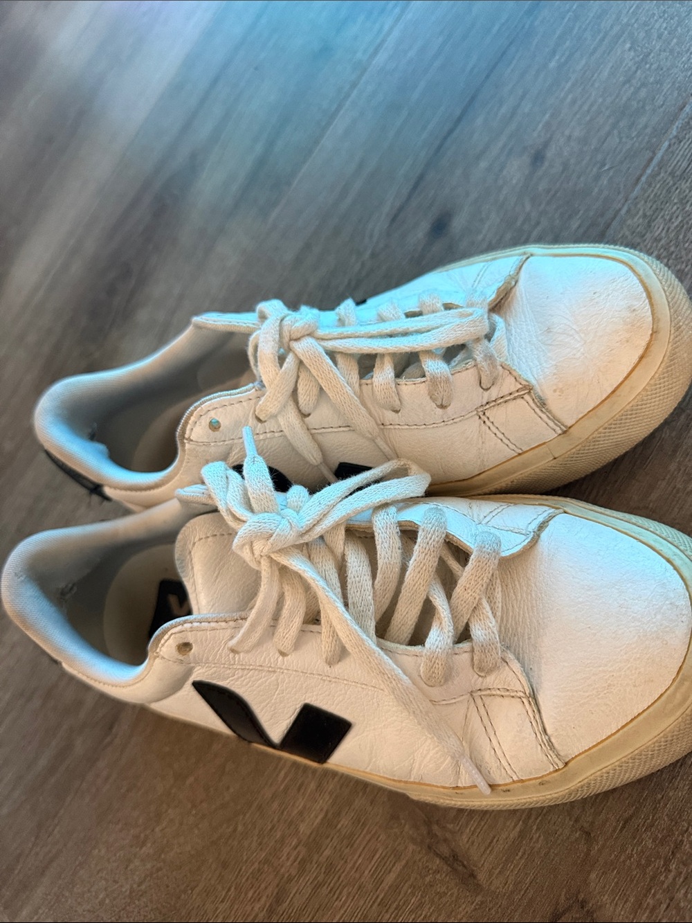 Veja White Sneakers with Black V Accent